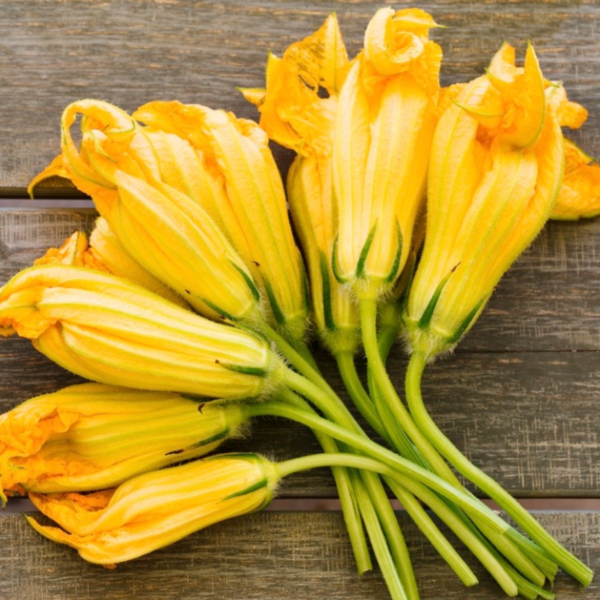 fiori di zucca fruktosa